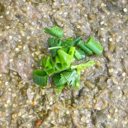 น้ำพริกปลาร้า