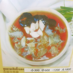 หูฉลามน้ำแดง หูเล็ก