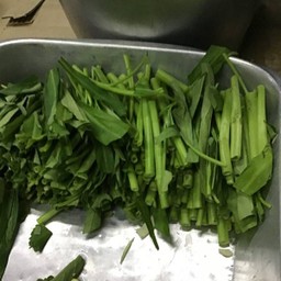 ผักบุ้ง
