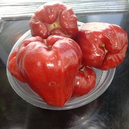 ชมพู่แดงทับทิมจันทร์ชุดเล็ก +น้ำจิ้มบ๊วย(แพงค่ะ)