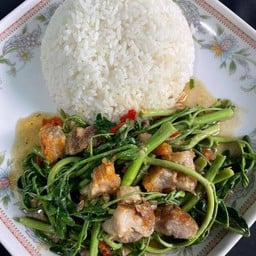 ัผัดผักกะเฉดราดข้าว