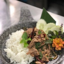 ข้าวราดกระเพราเนื้อเทนเดอร์ลอยด์