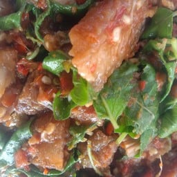 กะเพราหมูกรอบราดข้าว