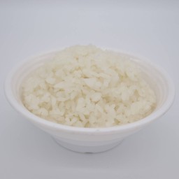 ข้าวญี่ปุ่น