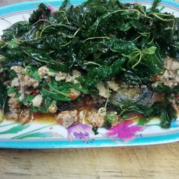 กระเพราไข่เยี่ยวม้า