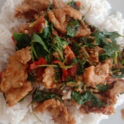 เนื้อชินผัดกระเพรา