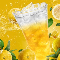 YUZU SODA