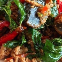 ข้าวราดกะเพราใข่เยี่ยวม้า