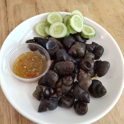 หอยนานึ่ง