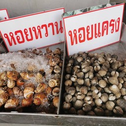 หอยหวาน 1 กิโล