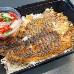 สารพัดกระเพรา/ไข่เจียว/ข้าวโพดอบเนย บางปู