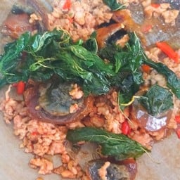 กะเพรากรอบไข่เหยี่ยวม้า(กับข้าว)