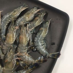 P08-กุ้งกุลา - - - รายการพรีเมี่ยม 299.-