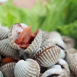 กุ้งแก้ว - ชมสินธ์ุ 2 ชมสินธ์ุ 2