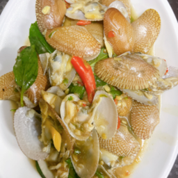 หอยลายผัดพริกสด