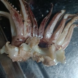 หม่าล่าhome