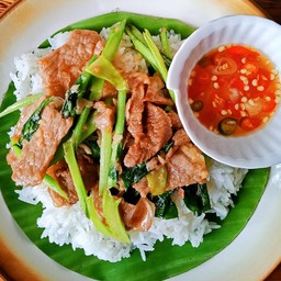 ข้าวคะน้าผัดน้ำมันหอย หมู/ไก่/กุ้ง/เนื้อ