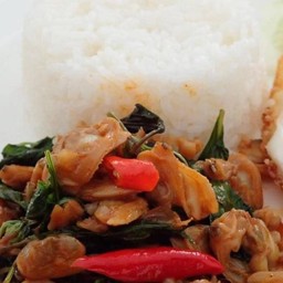 ผัดหอยลาย ราดข้าว