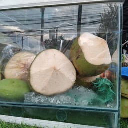 ซาร่า เนื้อสด