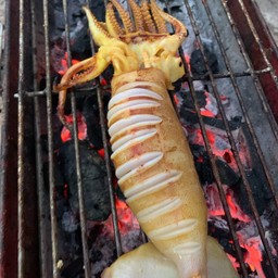 หมึกไข่ย่าง 1 ตัว