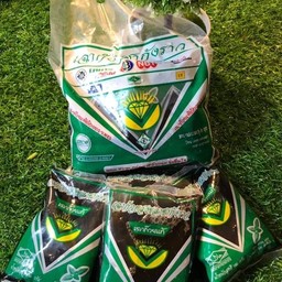 เฉาก๊วยชากังราว ศูนย์การค้าเอ็มไพร์พล่าซ่า