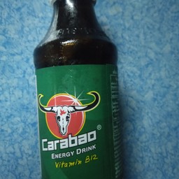 คาราบาว