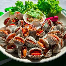 หอยแครงลวก