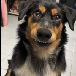 ทิปน้อนกาแฟโชว์สกิลพับปาก