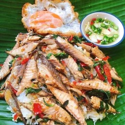 ข้าวกระเพราปลาทู