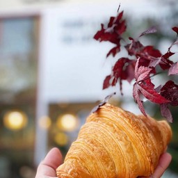 Plain Croissant