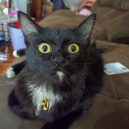 ทิปส์เก้าแต้ม