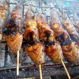 ปลาดุกตัวใหญ่