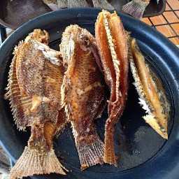 305ลาดพร้าว64แยก9ตอนเย็นปลาแกะ/หมูทอด/ปีกกลางทอดสูตรน้ำจิ้มรสเด็ด