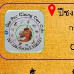 ปีชง Pee Chong