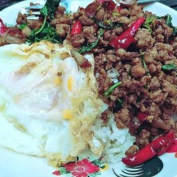 กระเพราเนื้อสับ ไข่ดาวพร้อมข้าว