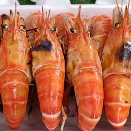 กุ้งเผาตัวผู้ไซส์รวม 500 กรัม(กุ้งน๊อค)