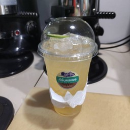 น้ำผึ้งมะนาวเย็น