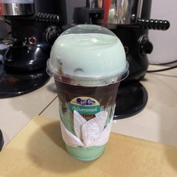 โกโก้มินต์เย็น