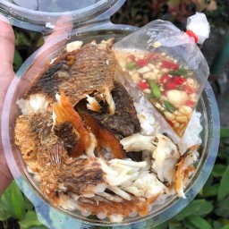 ข้าวเหนียวไก่ทอด สวนกระท่อม ซอยสวนกระท่อม