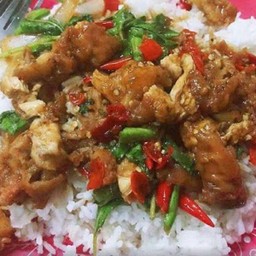 กะเพรา ไก่กรอบ