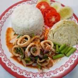 ข้าว+ลาบปลาหมึก