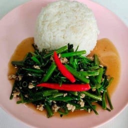 ข้าว+ผัดผักบุ้ง