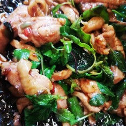 ข้าวราดกระเพราไก่ชิ้น