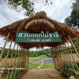 สวนดอกไม้ชาลี