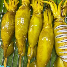 นายเข้มปลาหมึกย่าง