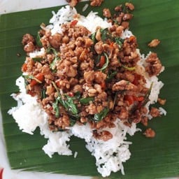 กะเพราหมูสับ