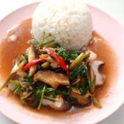 ข้าว+ปลาดอลลี่นึ่งซีอ๋ว