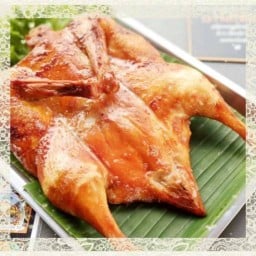 ไก่ต้มน้ำปลา ปังปัง