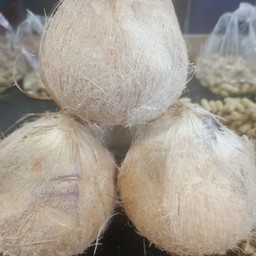 มะพร้าวสวน