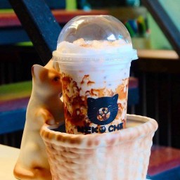 Cat Home Cafe_Banpong บ้านแมวเหมียว